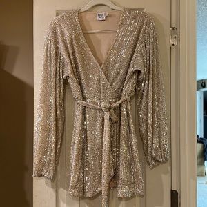 Silver Sequin Dress